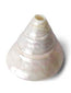 Conch Shell Items