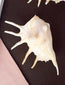 Conch Shell Items